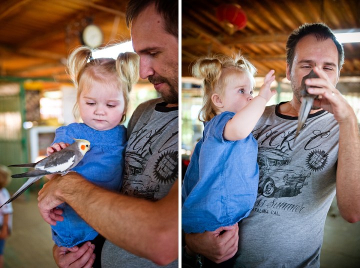 _DSC7350 (2)-10-tile