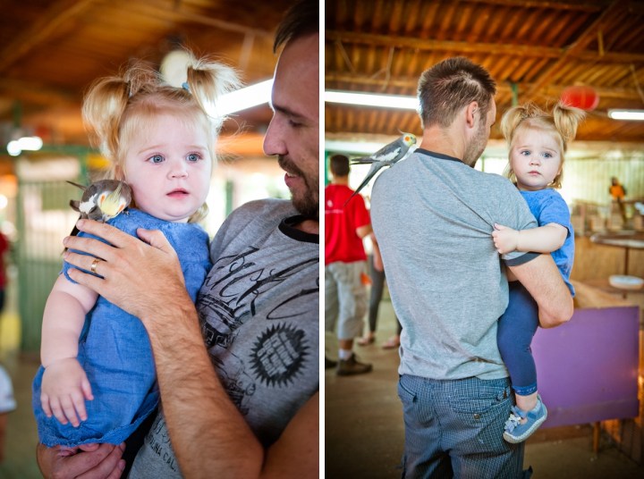 _DSC7354 (2)-10-tile