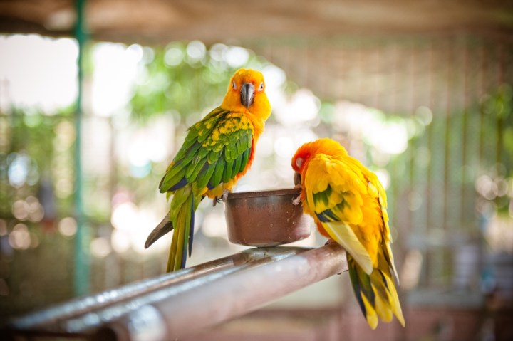 _DSC7365 (2)-10-tile