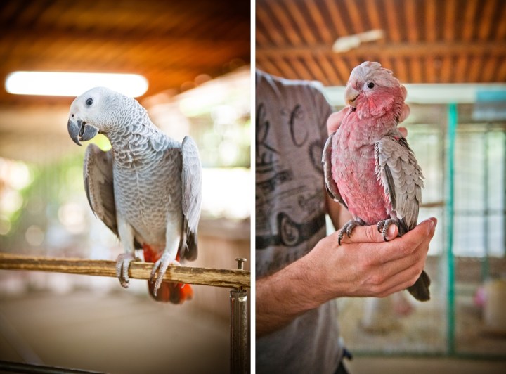 _DSC7366 (2)-10-tile