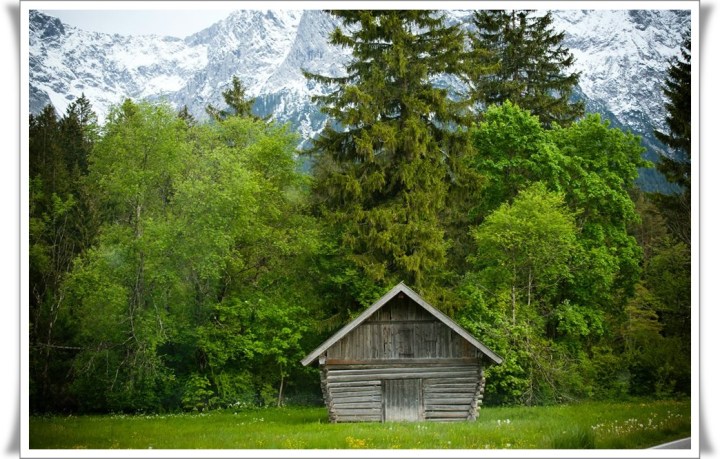 11391223_10206839234885243_4813150300691171475_n