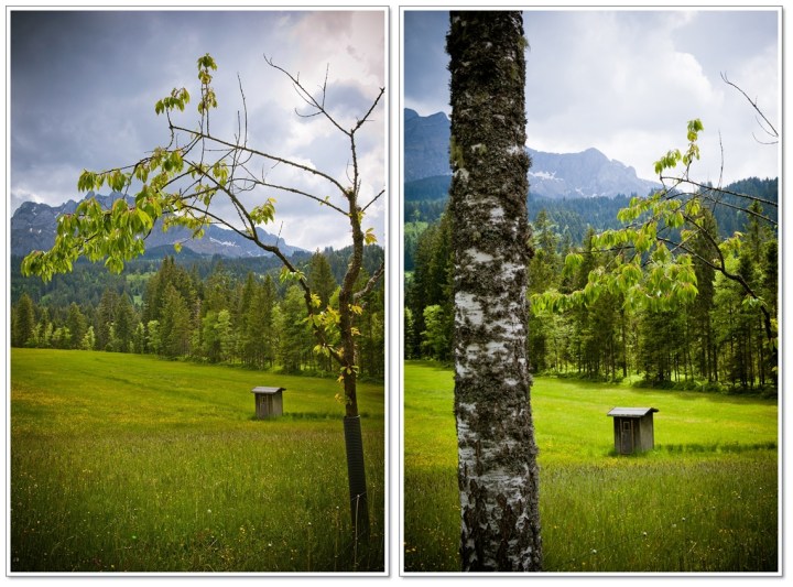 _DSC8021-10 (3)-horz