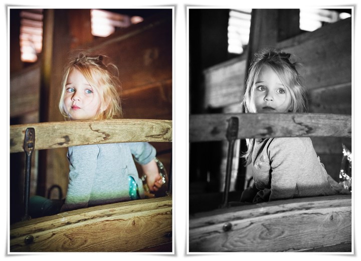 _DSC8396-10-6-4-horz