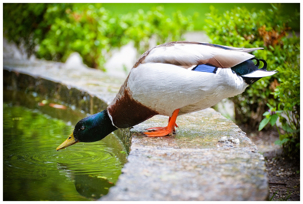 _DSC6000-10-horz