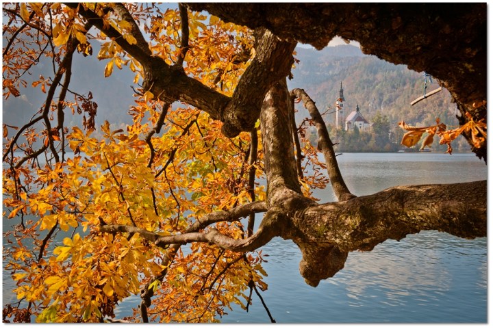 _DSC0801-10-horz-bled