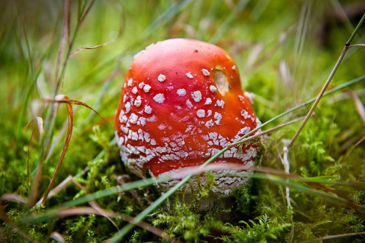 DSC_1859-10 (2)-tile