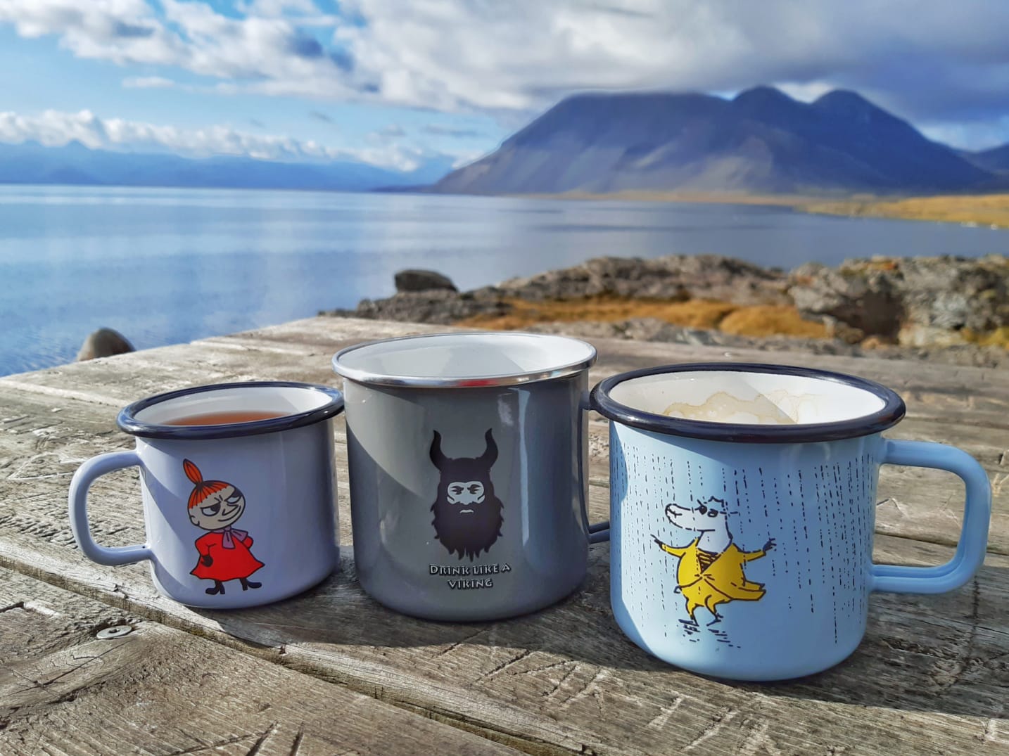 dd777c3e-9e0a-4dbd-81e1-8c21a4438a27 (1)